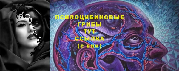 2c-b Дмитриев