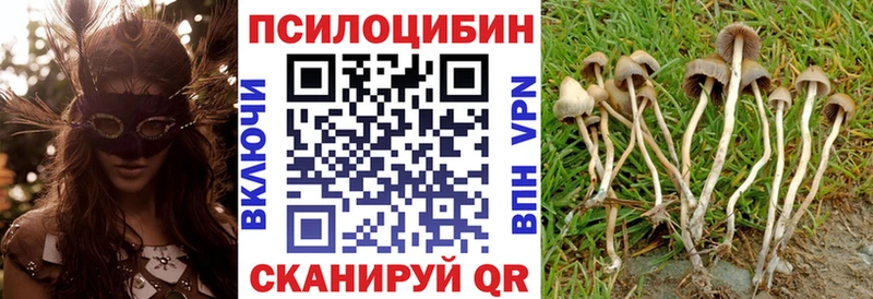 сколько стоит  Брюховецкая  Псилоцибиновые грибы MAGIC MUSHROOMS 