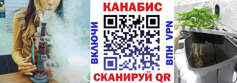 Шишки марихуана сатива  Брюховецкая 